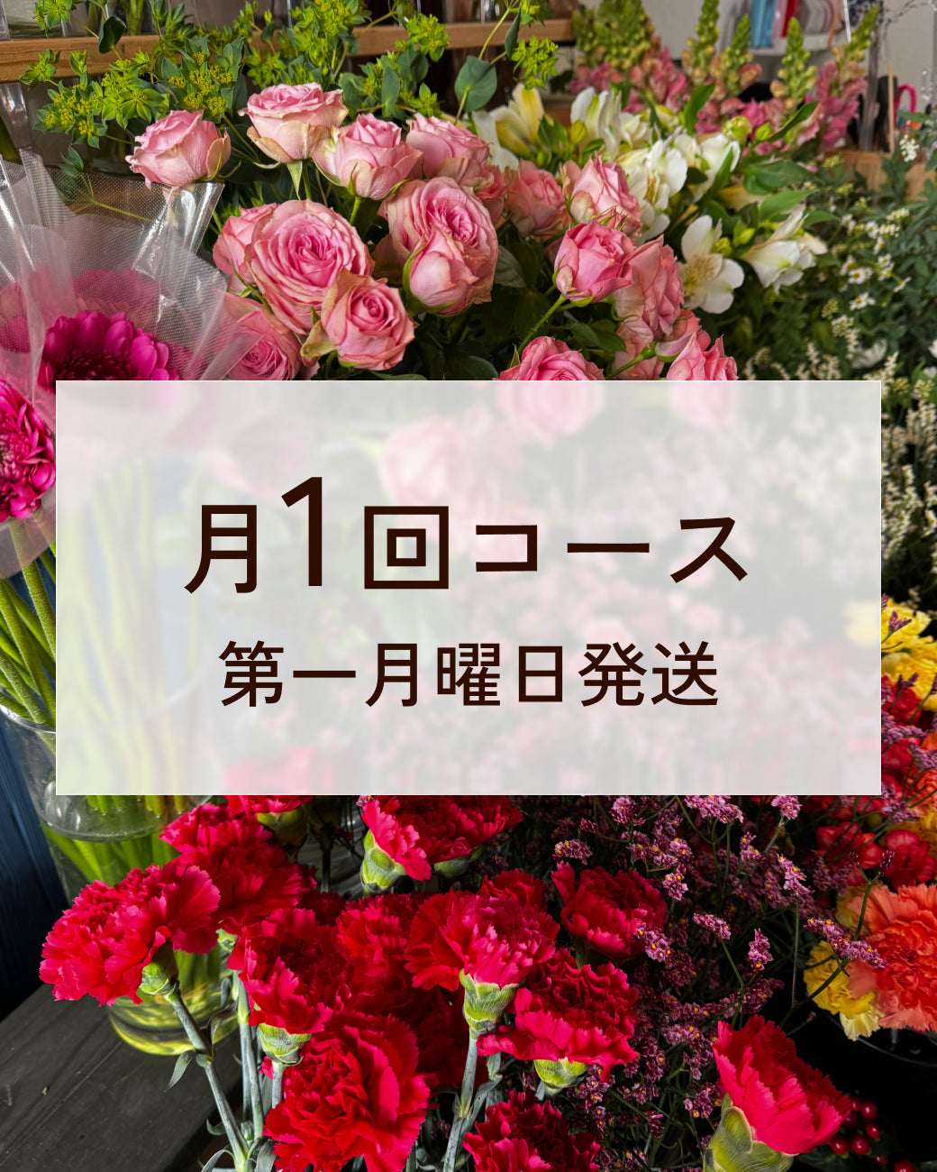 【生花定期便】毎月1回お届けします送料込み4620円
