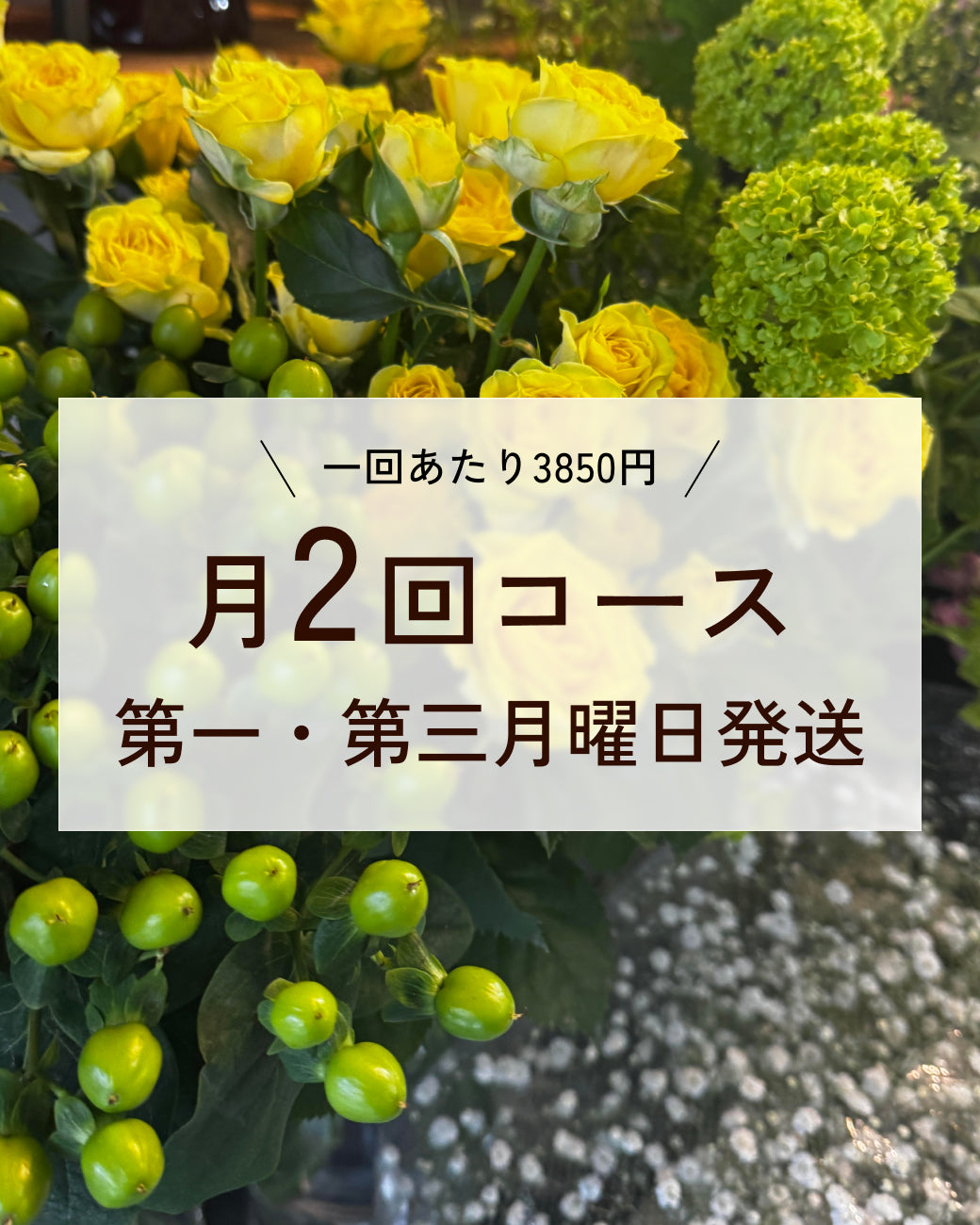 【生花定期便】毎月2回お届けします送料込み1回3850円（月１よりお得）